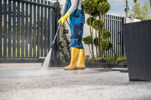Best House Exterior Washing  in Sycamore, IL